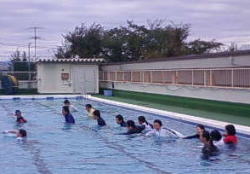 第３小学校での着水泳訓練を見学